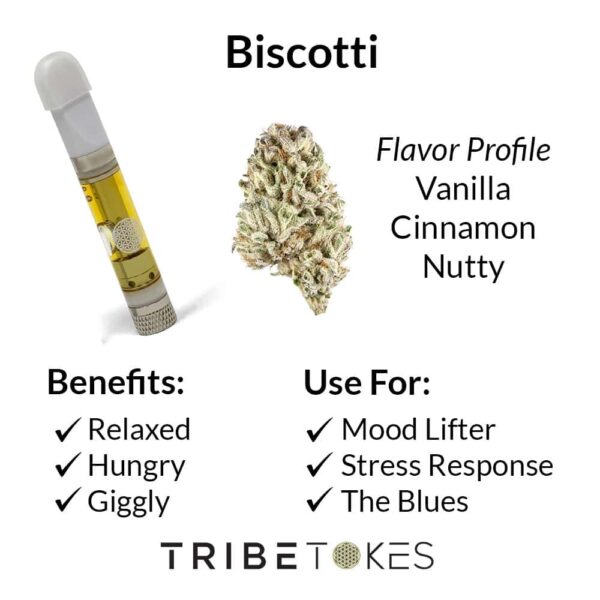 Biscotti - Hybrid