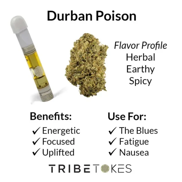 Durban Poison - Sativa