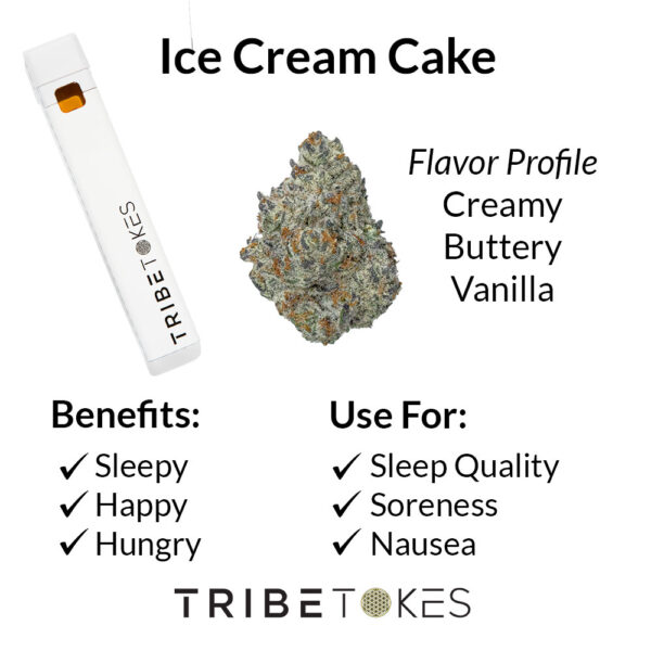 Ice Cream Cake - Indica