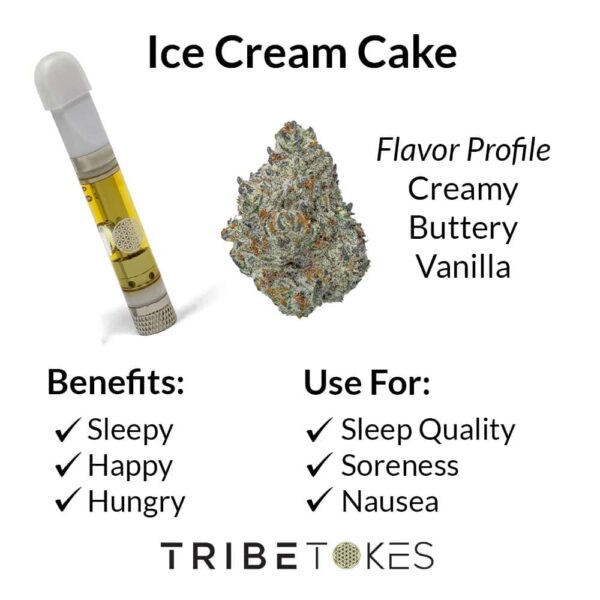 Ice Cream Cake - indica
