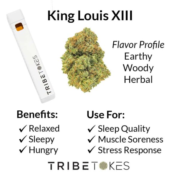 King Louis XIII - Indica