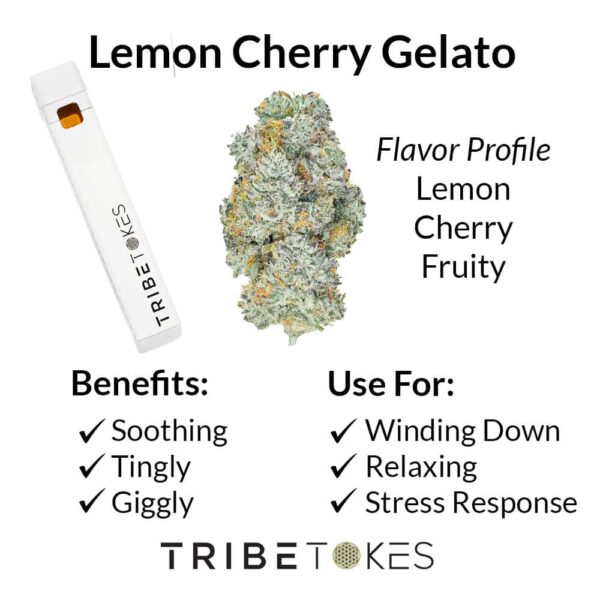 Lemon Cherry Gelato - Hybrid