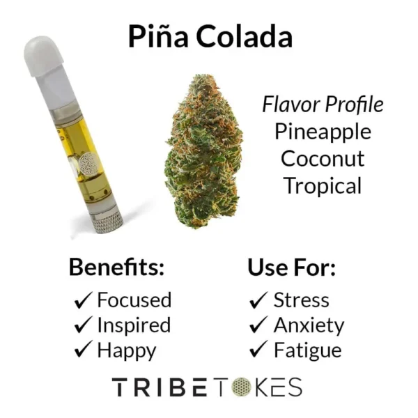 Piña Colada - Sativa