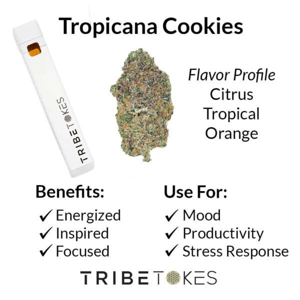 Tropicana Cookies - Sativa