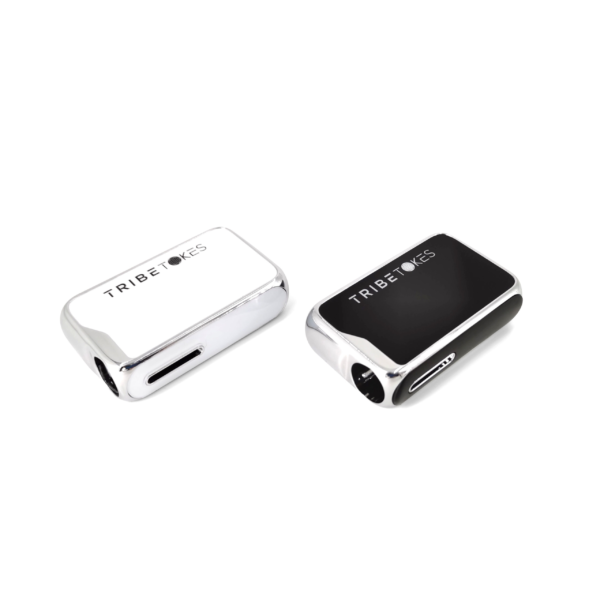 Mini (Palm-Sized) Battery